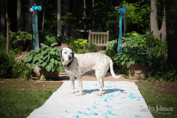Best Annapolis Wedding photographer - Sandra Johnson (SJFoto.com)